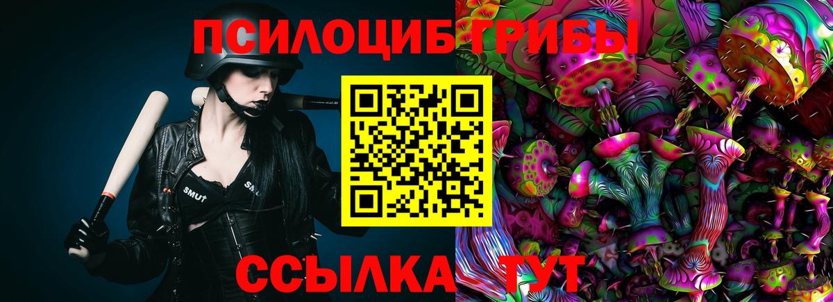 Галлюциногенные грибы GOLDEN TEACHER Ессентуки