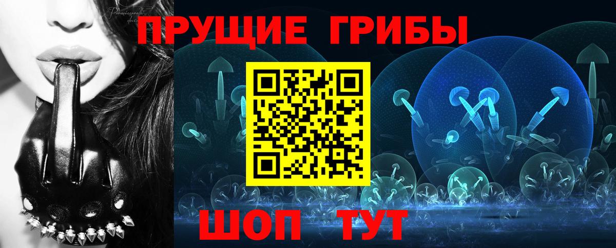 Галлюциногенные грибы Cubensis  Вход с VPN  Ессентуки 